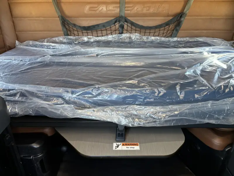 2020 Freightliner Cascadia 126 photo 9