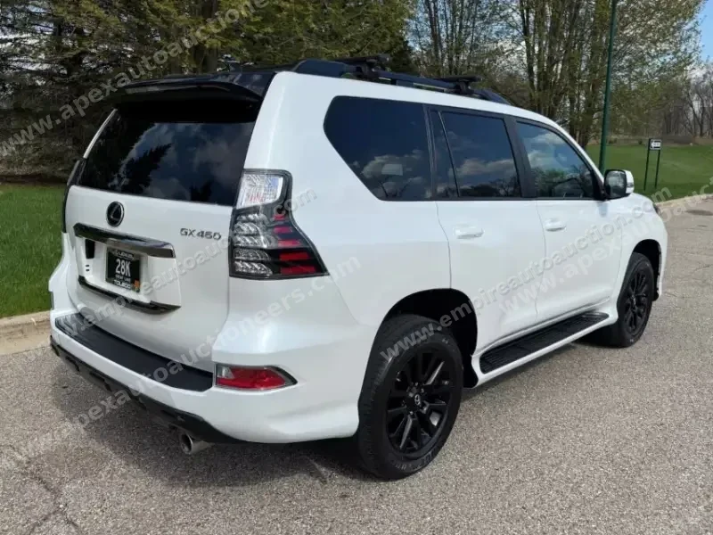 2023 Lexus GX 460 Sport photo 7